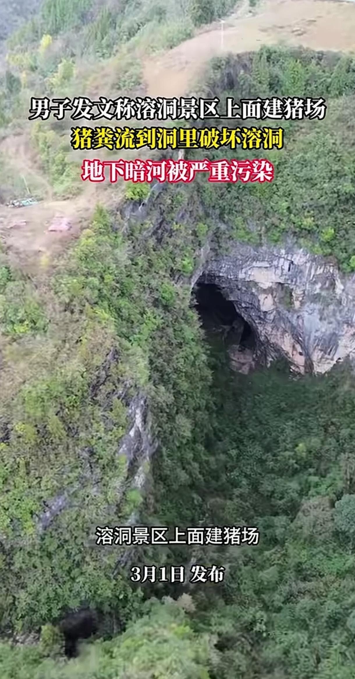 近日，溶洞景区被养猪场的排污水严重污染，被曝光，整个洞口被填满。

养猪场老板：