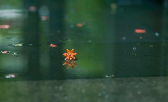 可以发朋友圈的淡淡忧伤的青春伤痛文案1·算了 你好像根本不明白我在说什么 你顶多