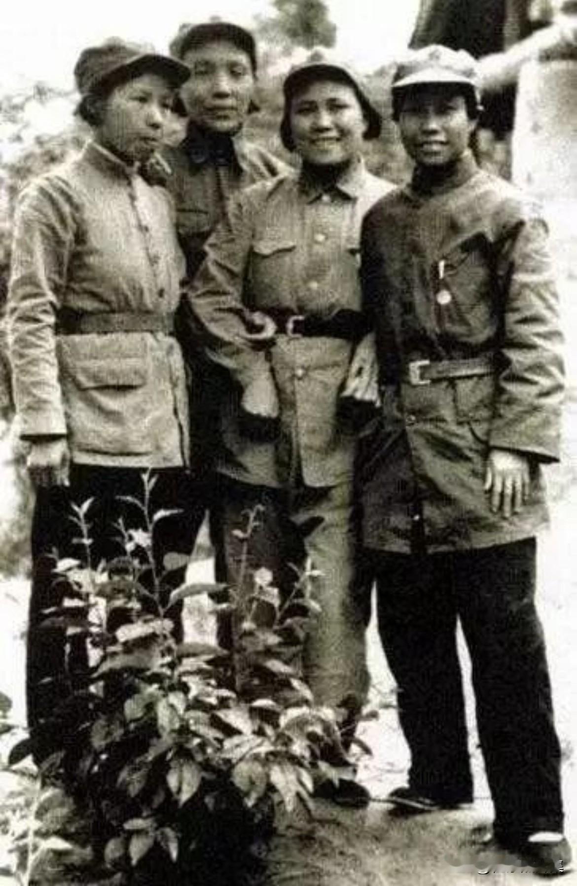 长征后的女红军，左起陈琮英（任弼时同志夫人）、蔡畅（李富春同志夫人）、夏明（陆定