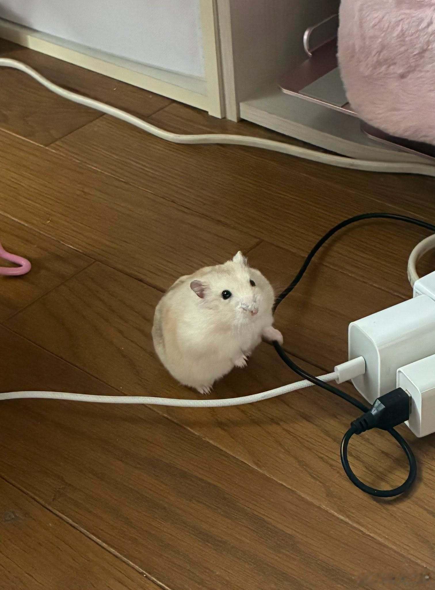 推主：「你要干什么？不要啊！！！」 ​​​