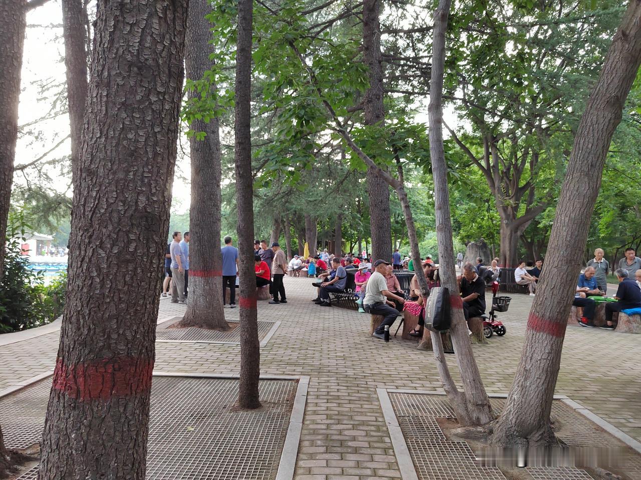 退休后，我觉得一半人都去干了这个！
没事的时候，我爱转公园。
公园里边遛弯的人不