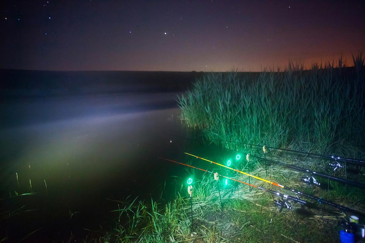 夜钓

独坐湖边，任漫天星辰凝视
古老而又重复的姿势
欲望被高高拉起
坠落成水面
