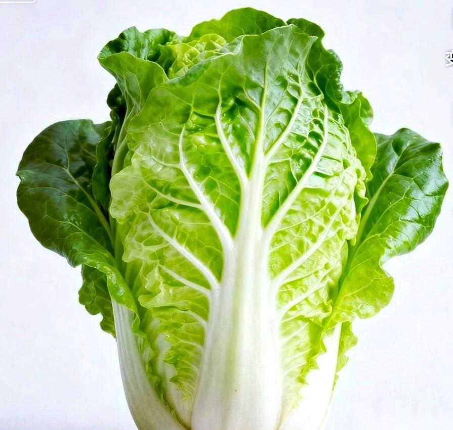 真活久见了。
一颗白菜，快赶上半斤猪肉的价钱。
你敢信？
贵就算了，关键是，它还