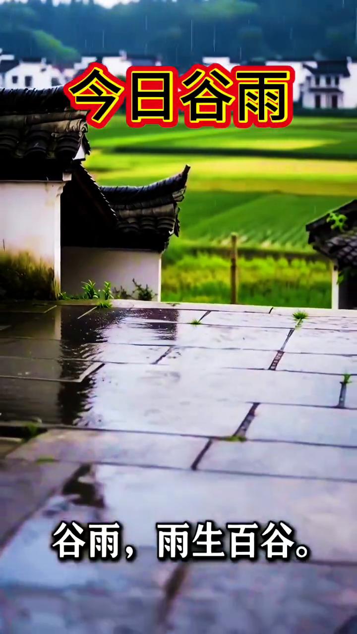 今日谷雨，愿风调雨顺。
谷雨，雨生百谷。春末最后一个节气，前后枕。俊女生我极其兴
