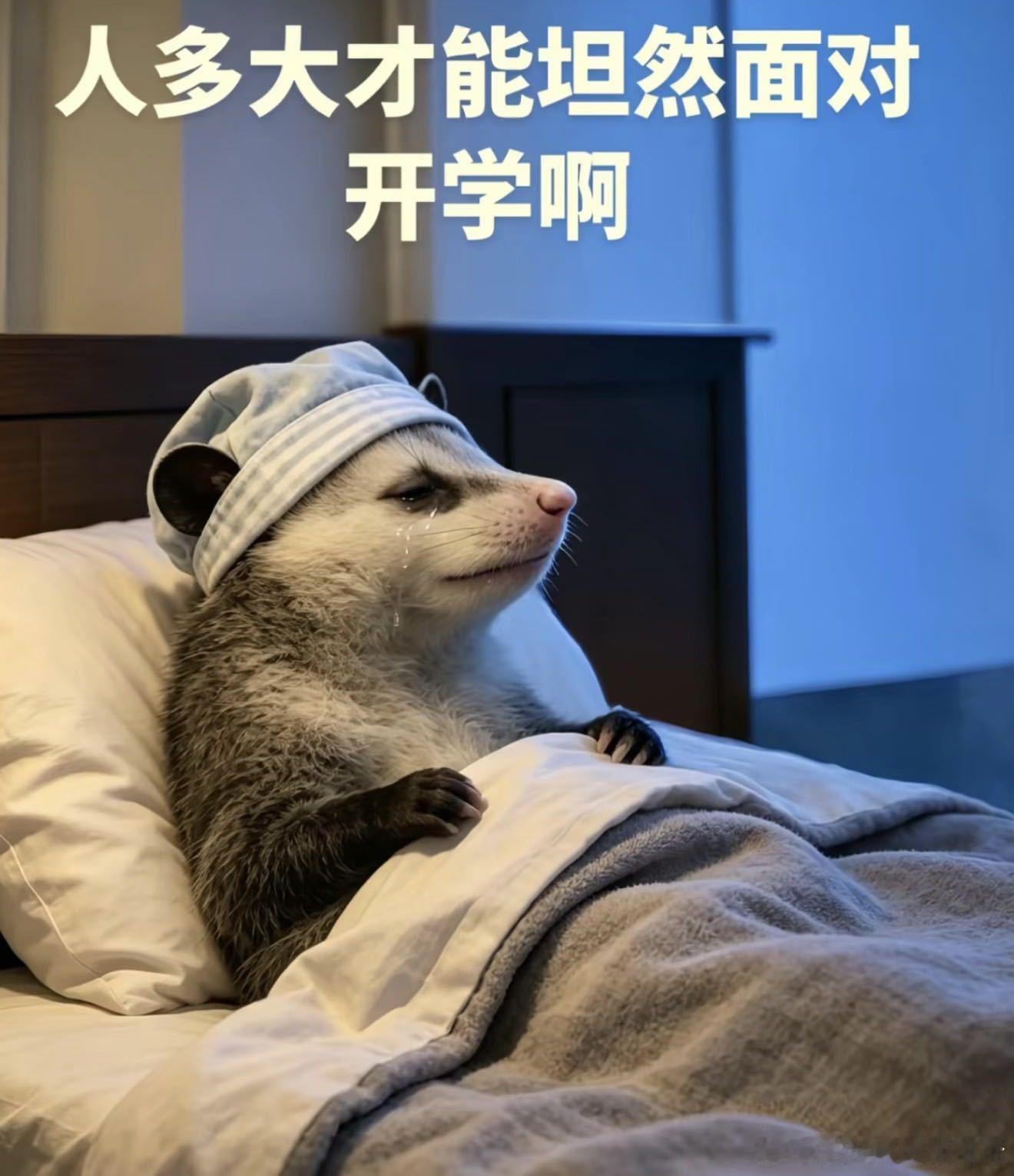 一到开学心情就淡淡的忧伤，能不能一键回到放假的时候😭第一批新生家长已经在铺床了