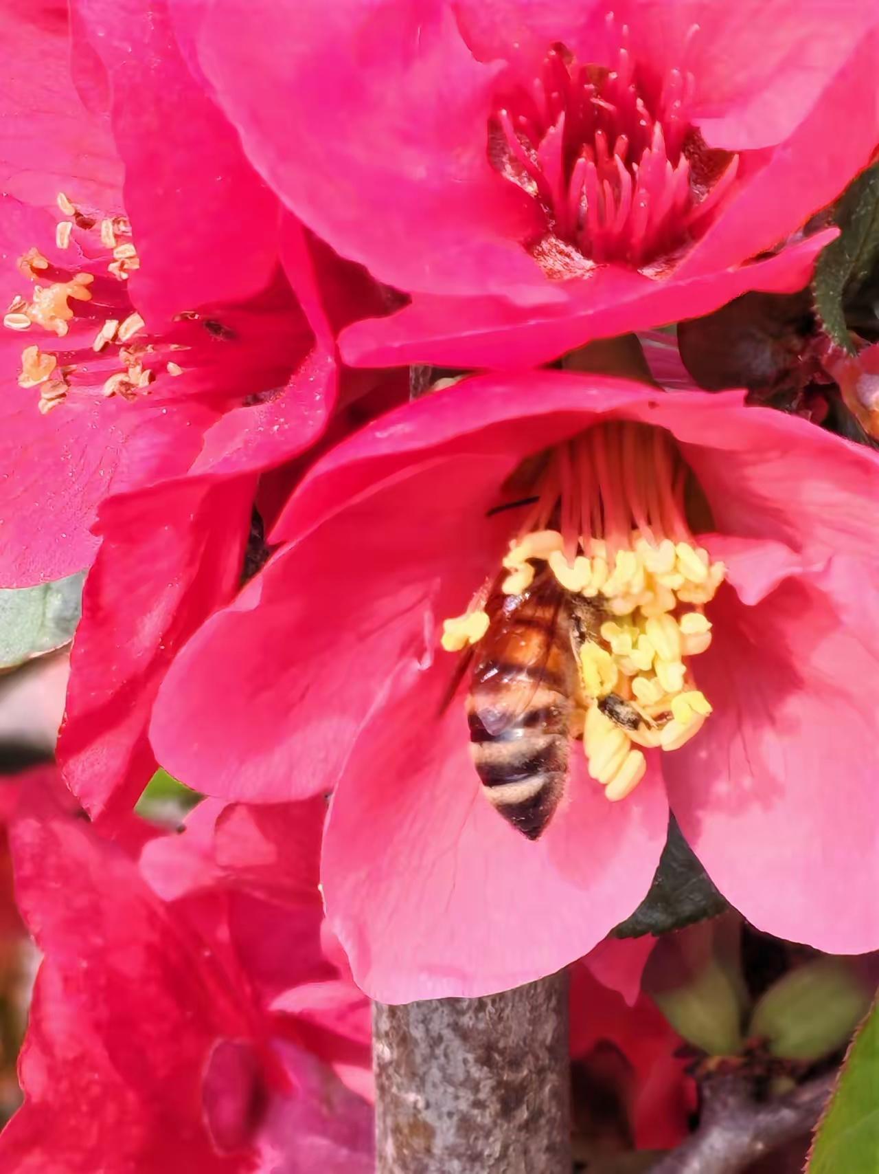 学会了用AI写作，人会变得懒一些，如果没有警惕心理人很容易成为机器的傀儡。

用