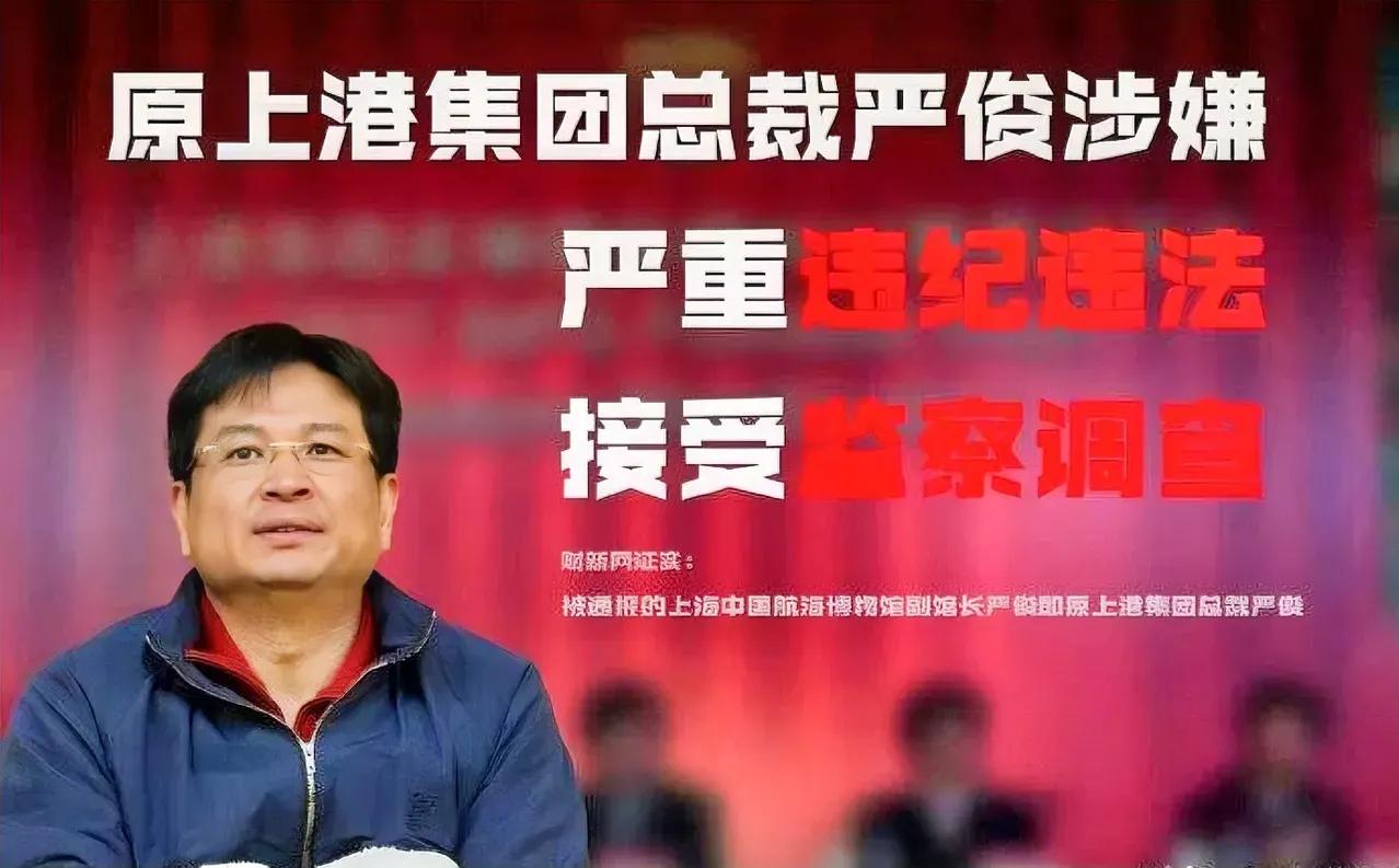 原上海海港的集团总裁严俊违法违纪，或涉及中国足协原主席陈戌源一案，已被开除党籍和