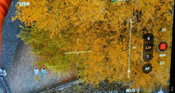 于正说金吾不禁很大部分是公路片于正原来是浙江人于正说我是浙江人被于正对《金吾不禁