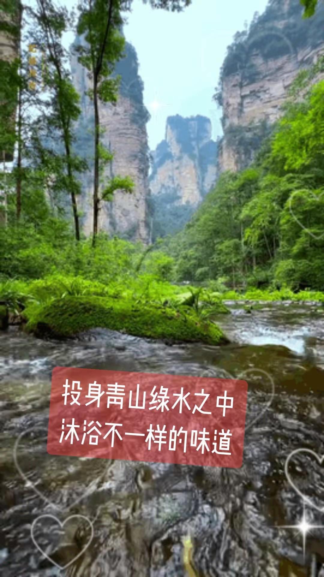 投身青山绿水之中，沐浴不一样的味道。绿野清溪的治愈瞬间 大山里的原生态自然奇观 