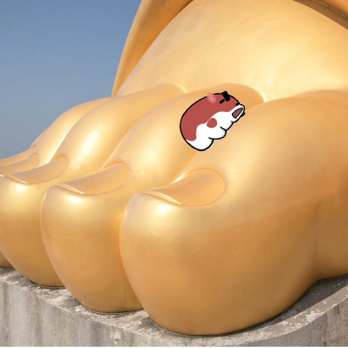 转发网上很火的这个锦鲤佛脚~马上会有好事发生