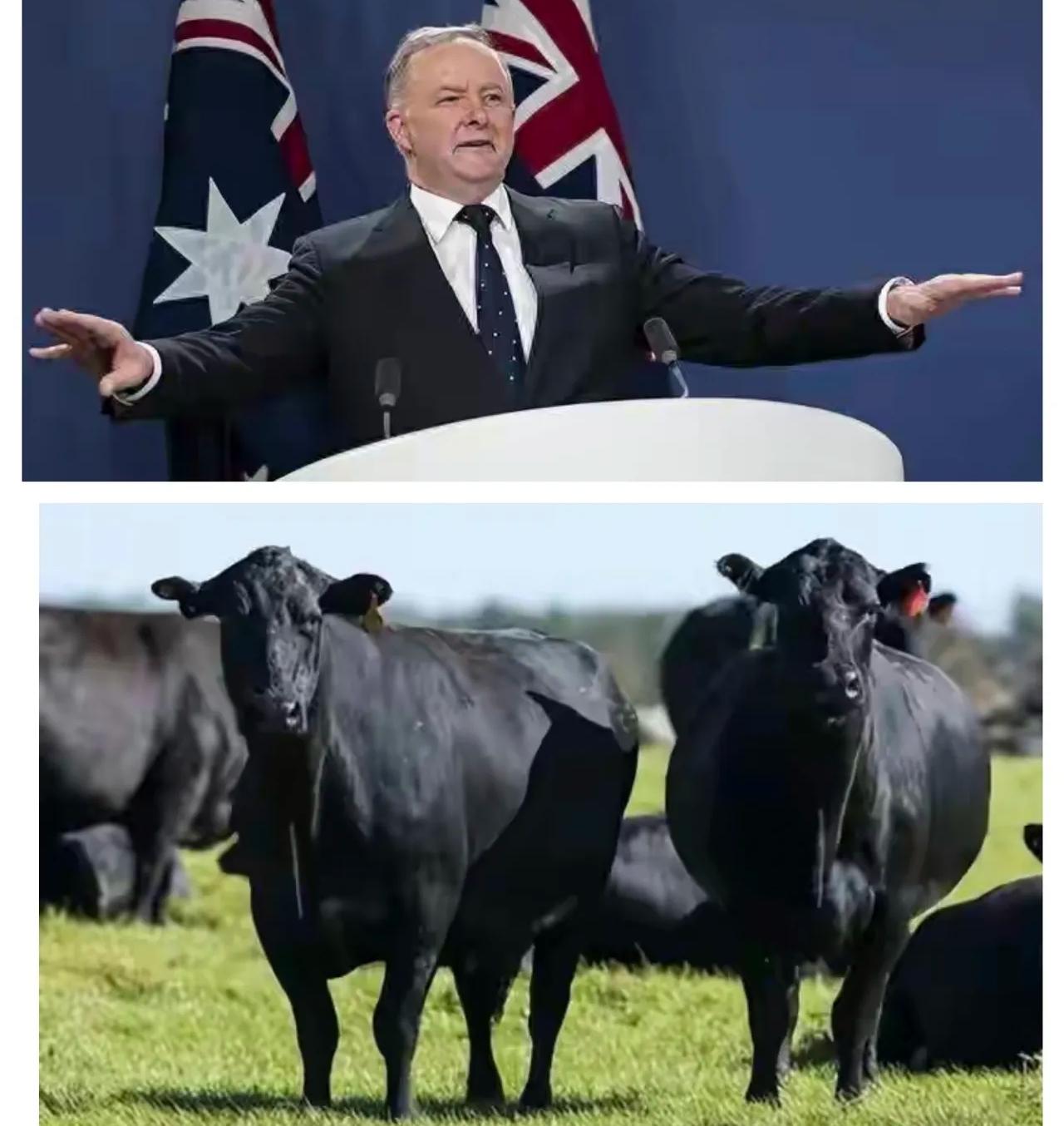 制裁不过夜！
就在中国解放军2025围台军演结束，澳大利亚脑瓜子嗡嗡的，31日，