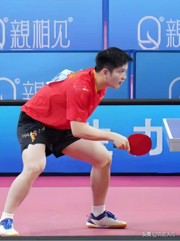 没有任何一个天才是天生的！这是弗朗西斯卡对樊振东的评价，他还说，每看一场樊振东的