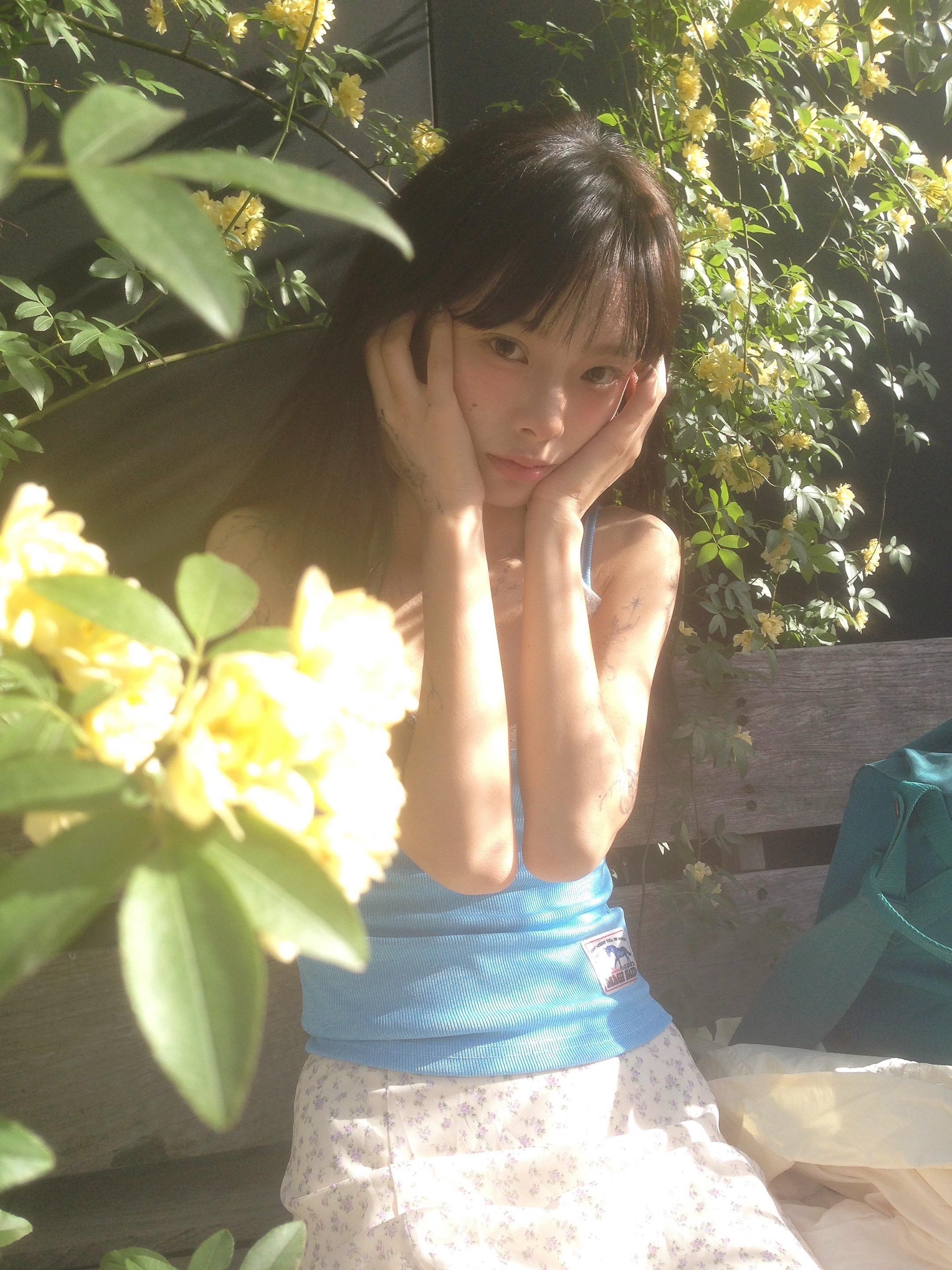 🍋‍🟩🔆🌿。