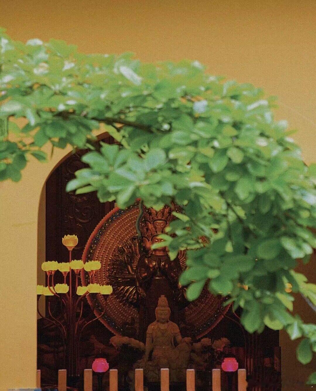 七杀的人，喜欢打压别人，喜欢讲道理，洗脑。财多的只看钱，一般不喜欢和七杀废话，每