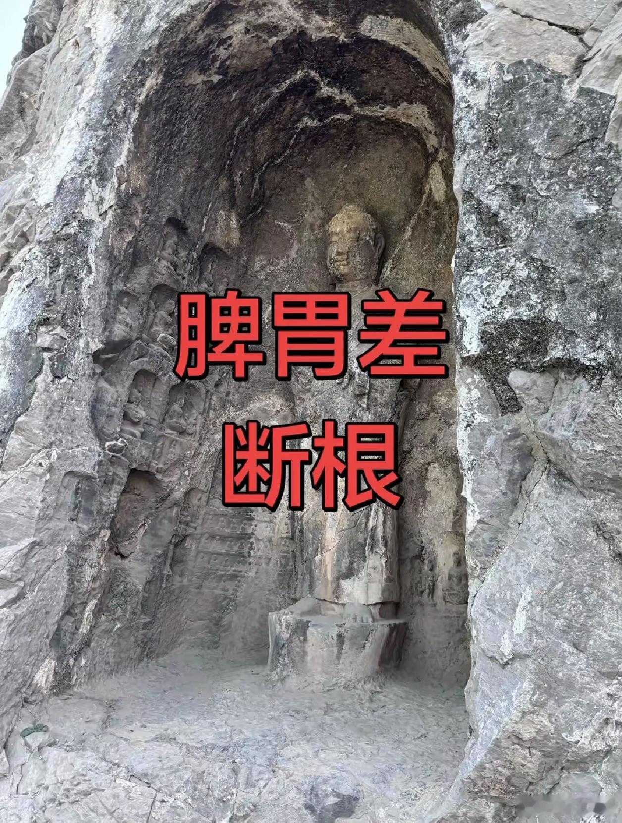 山药，莲子，芡实，茯苓，内金各5g炒焦磨粉，对脾胃好 ​​​