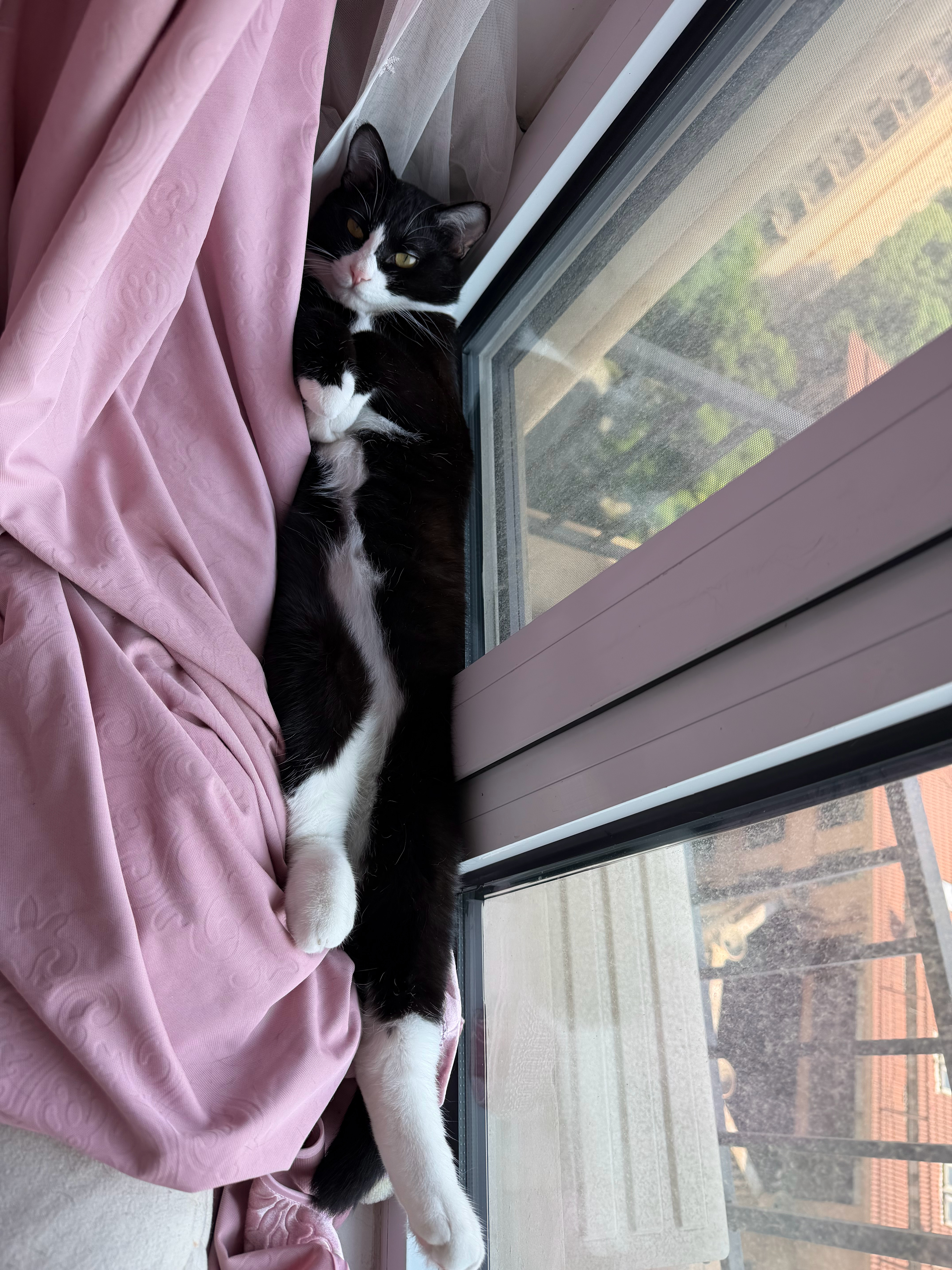 悠闲中 