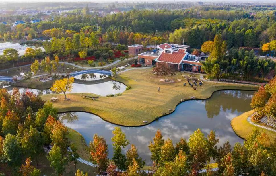 崇明财政表现优异！

2025年崇明区的地方财政收入完成105.8亿元，同比增长