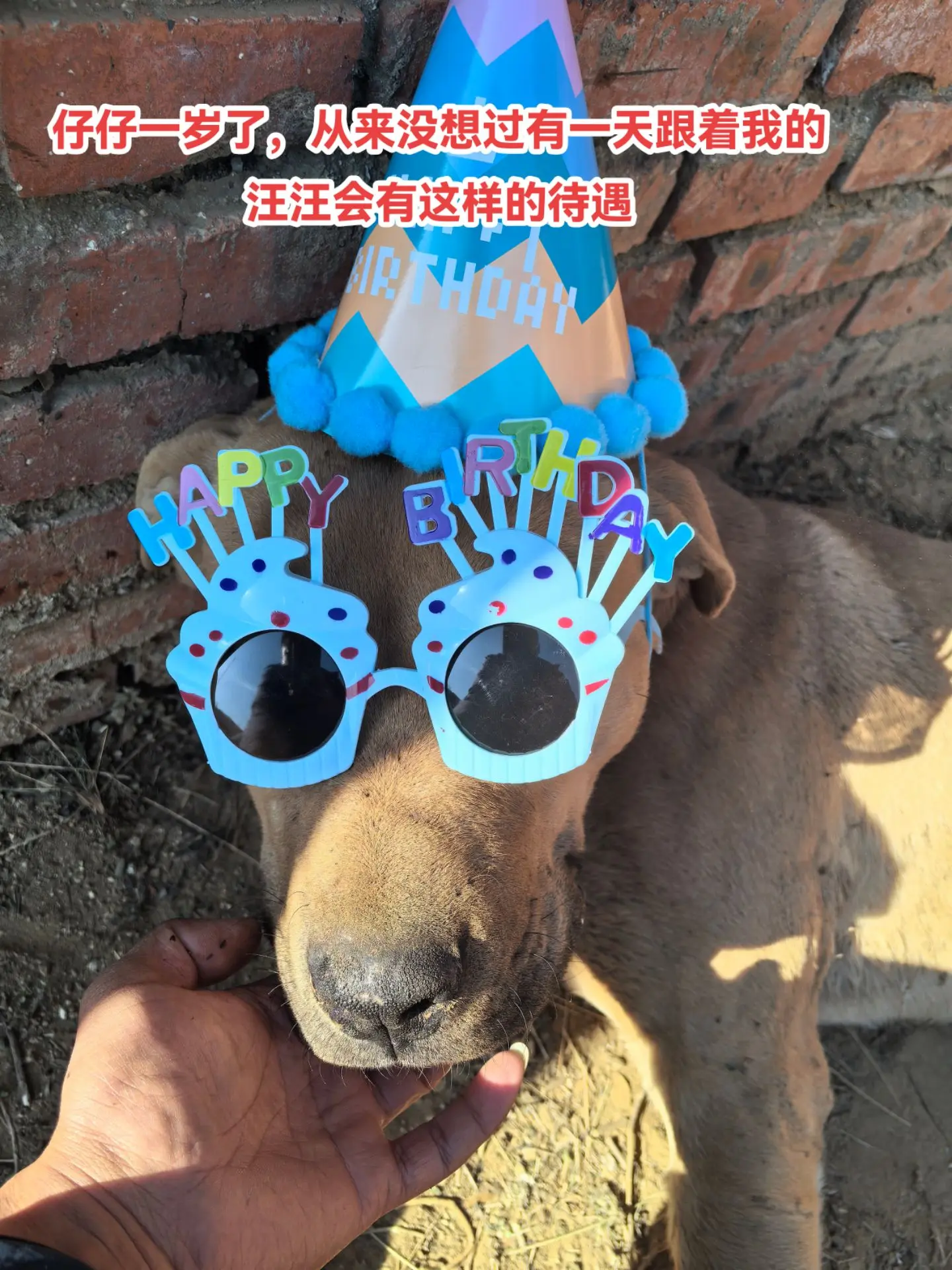 护农战士也有被宠时刻！感谢！！！