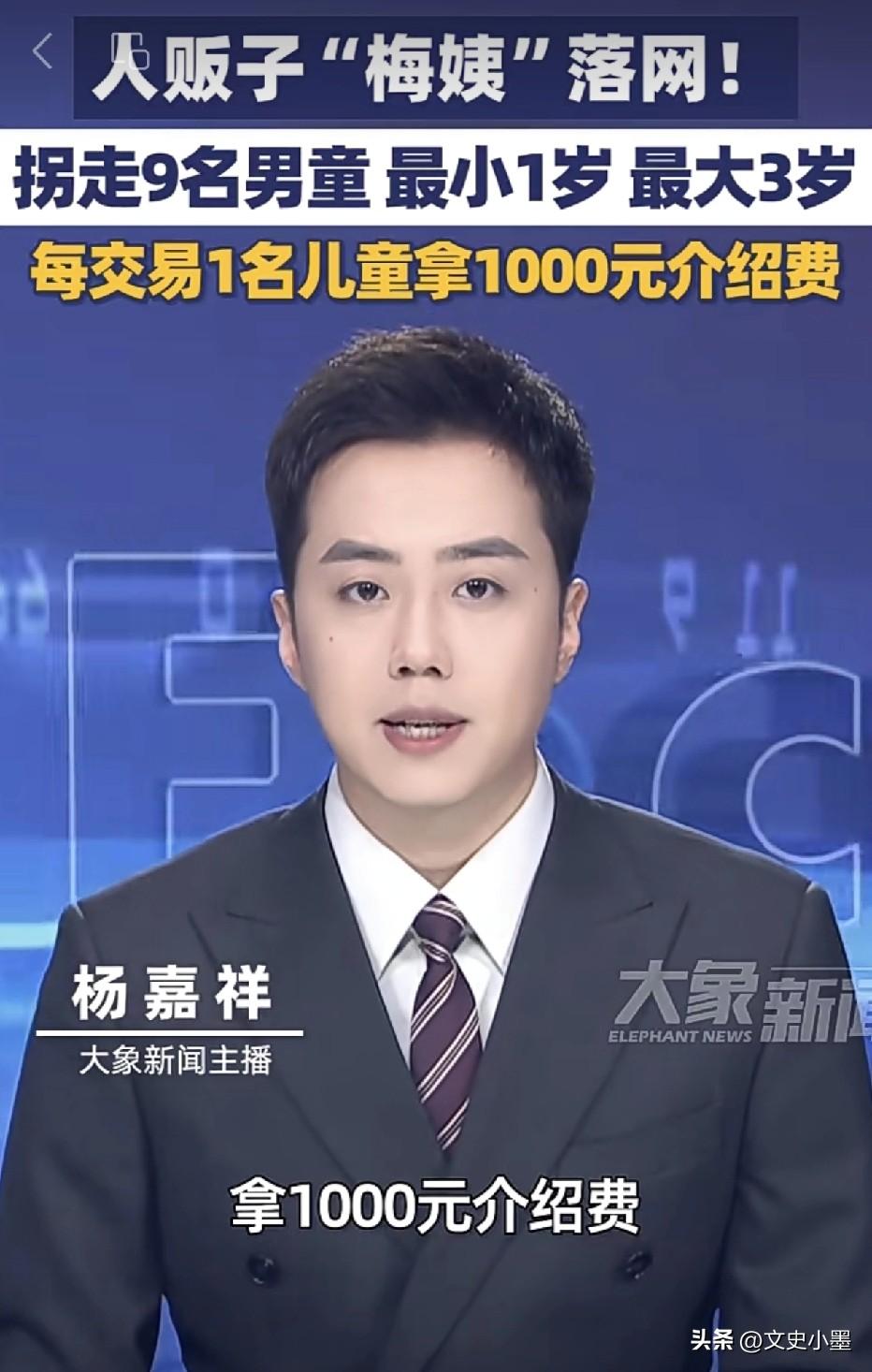 “梅姨”被抓后，很多让人想象不到的细节也被公之于众！原来她每转手倒卖一名儿童，其