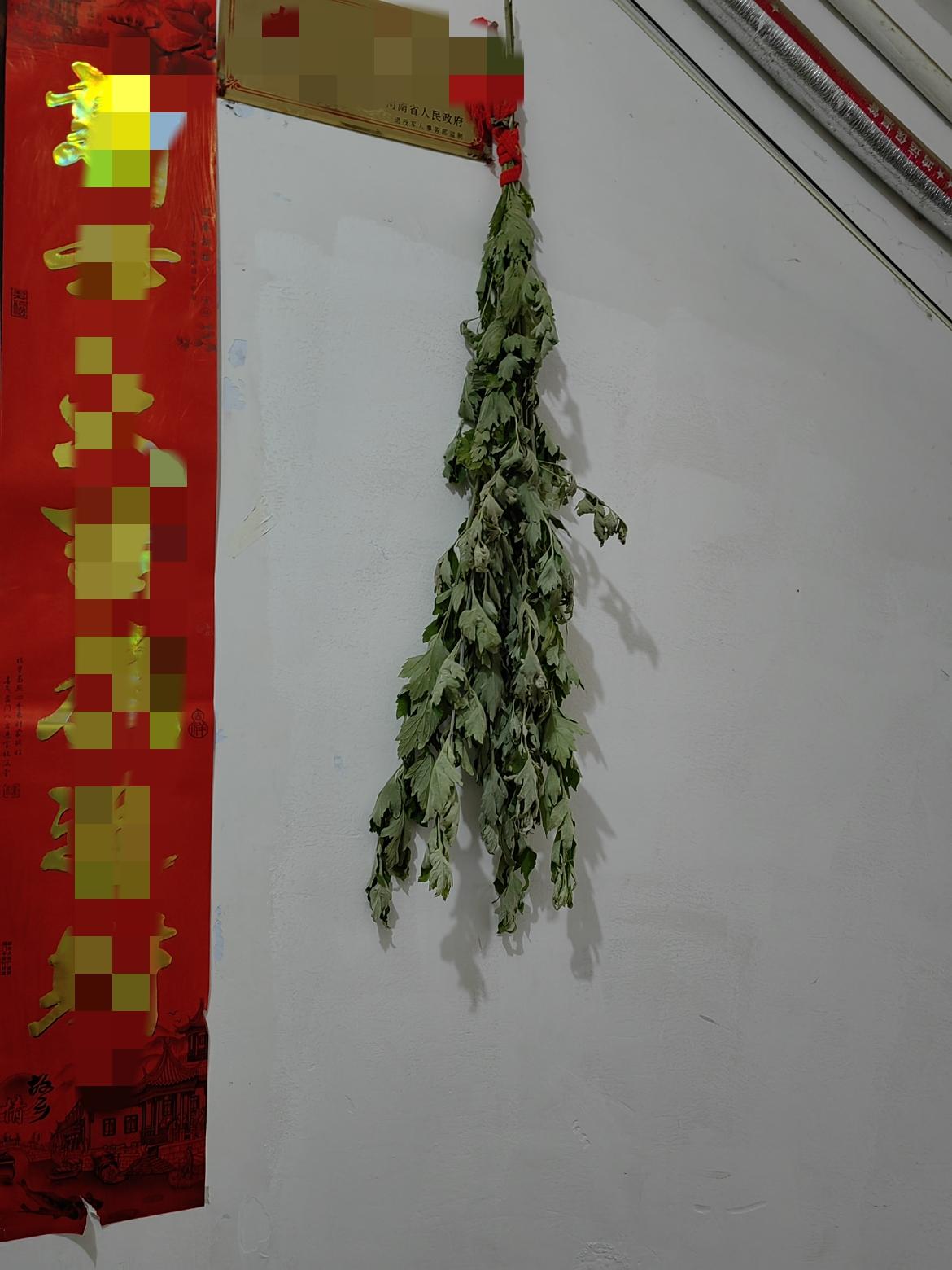 89年离异，独自带两个女儿，在小县城生活。端午节我的父母来我这里，因为我妹妹要回