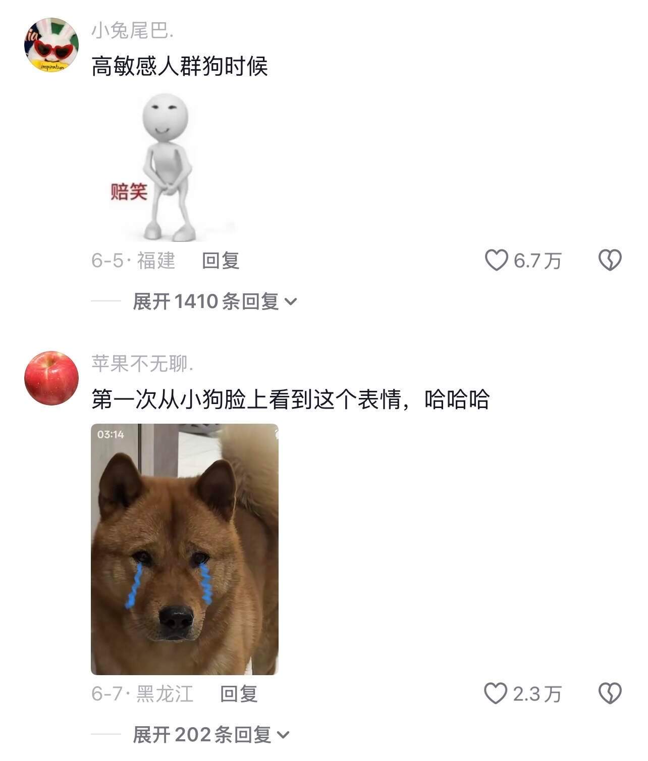 高敏感人群狗时候 ​​​