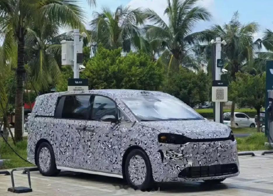 鸿蒙明年的MPV，了解了一下，多了特别多的最。 ​​​