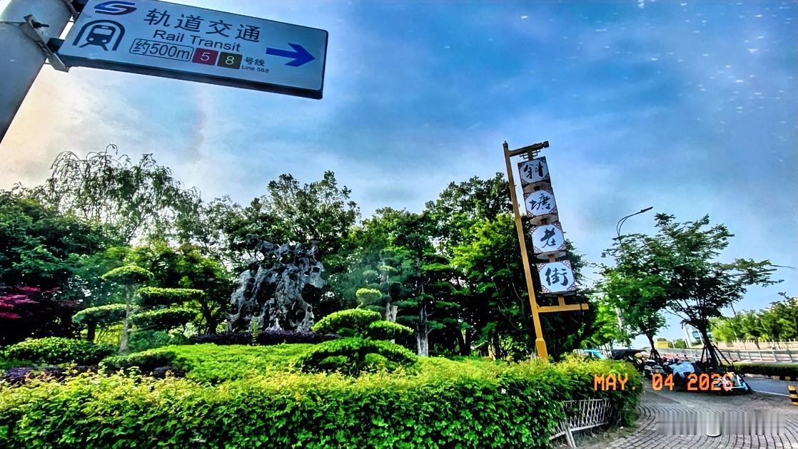 往年五一，在这十字路口总会布置一个街景花展，营造节日气氛，。今年什么都没有，显得