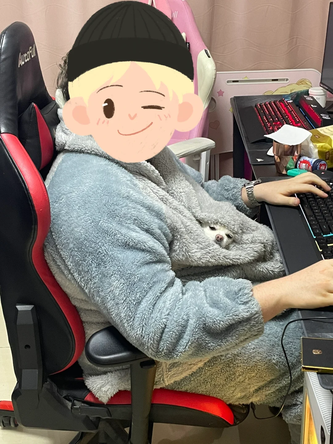 裹紧我的小毛狗