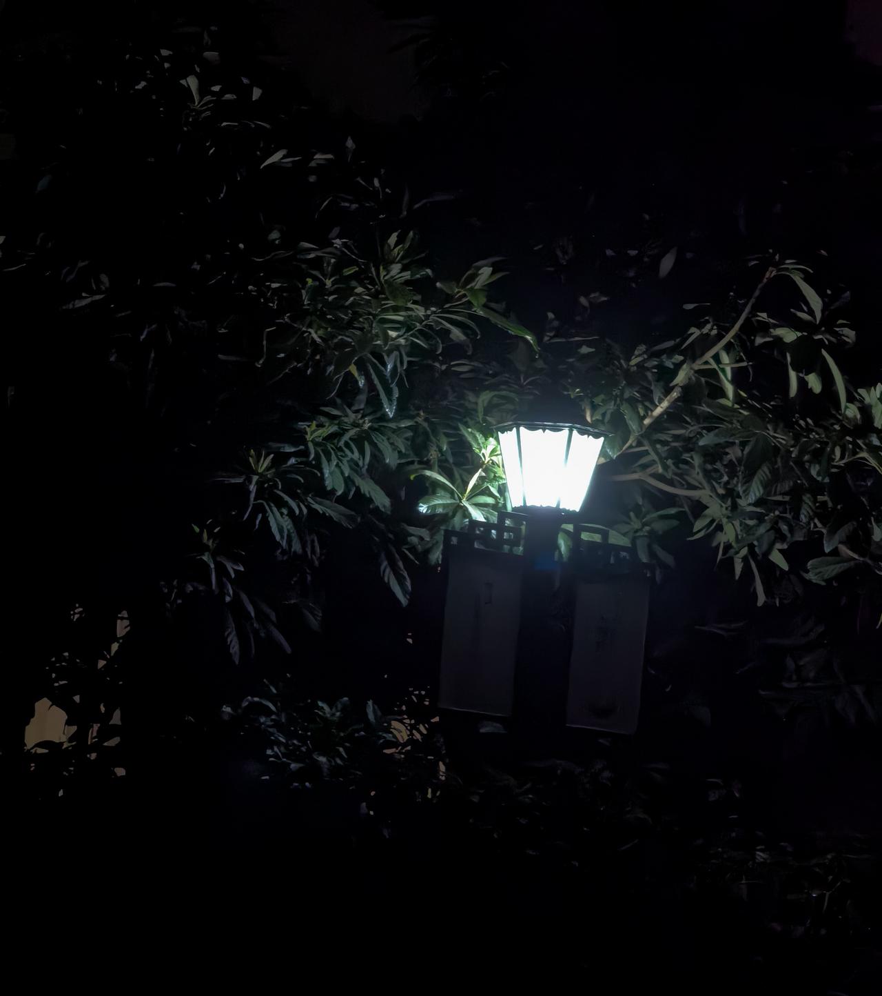 [微风]卜算子·夜灯


暗树裹清光，一盏孤檐火。
细叶围灯碎影凉，静掩深宵我。
