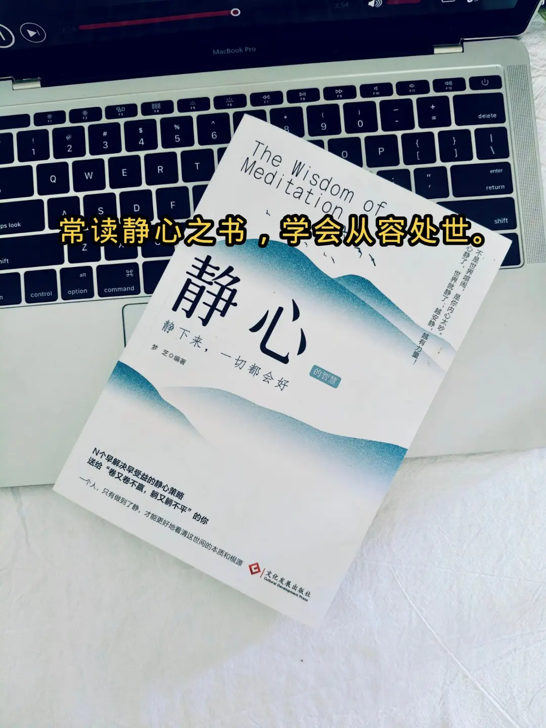 修心修行 禅语人生 静心 好书推荐