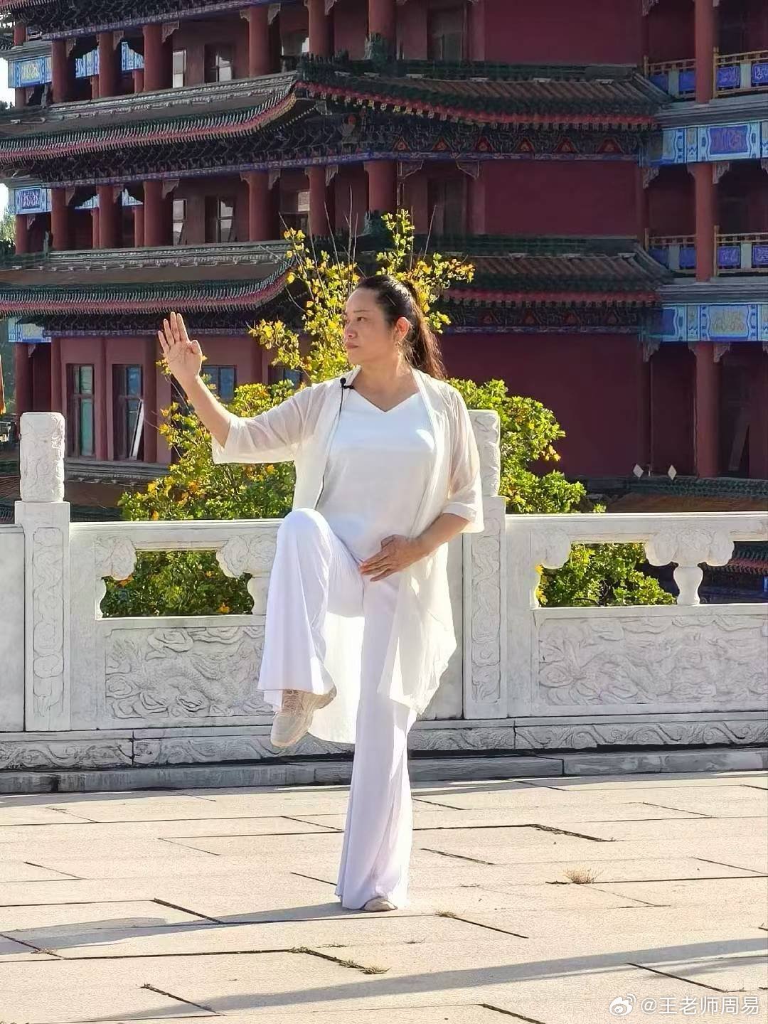 站桩站桩，关键是一个桩字，桩就是要让身体的下半部分稳定下来，要有生根之感。你一动