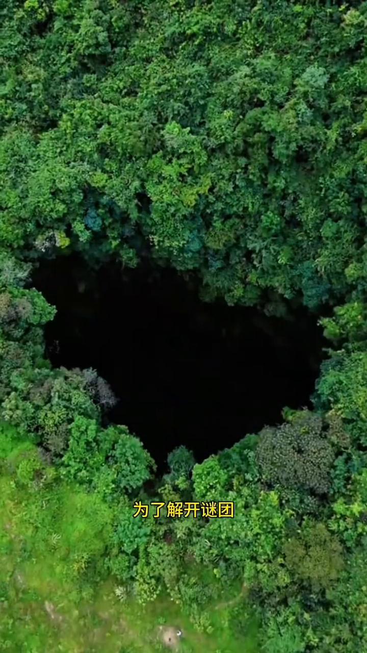 注意看，神秘山洞惊险不明生物。每到夜晚，洞里还会传出莫名其妙的叫声，村民们议论纷