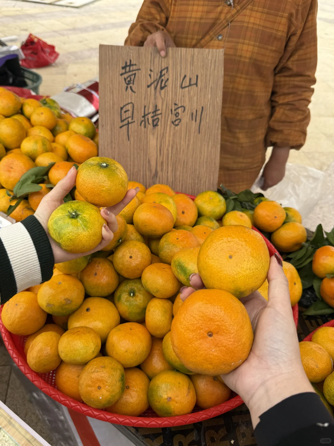 卧卧卧！在奉化遇见了“那片桔子海”