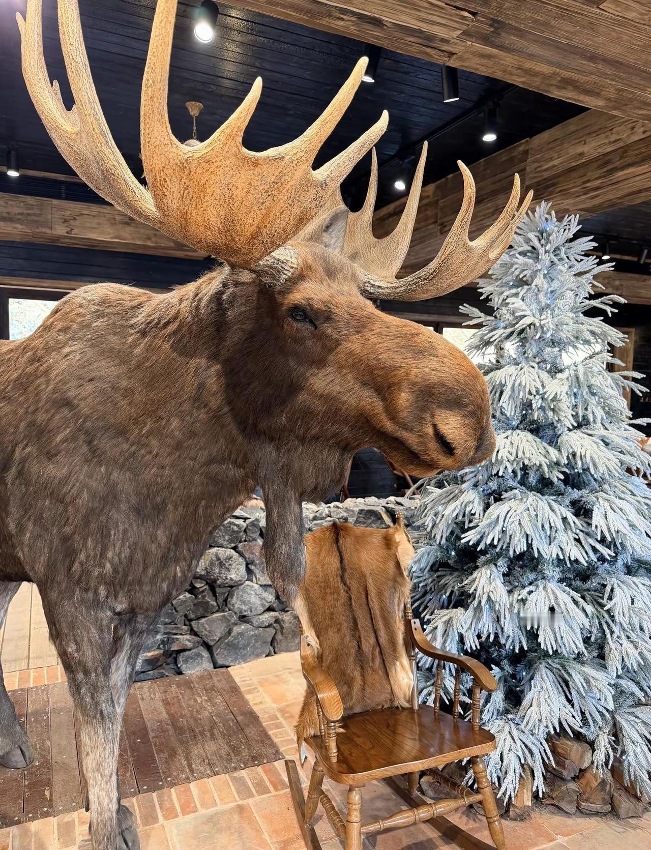 周末放风儿～ 北京周末去哪儿 周末时光 户外游 北京旅游攻略