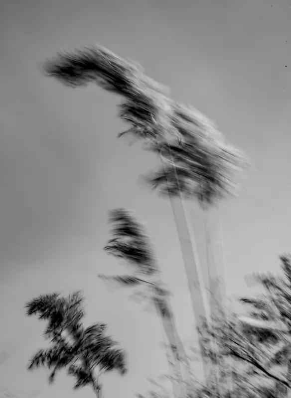 4月19日第44届香港电影金像奖颁奖典礼上，68岁的梁家辉凭借《捕风追影》第五次