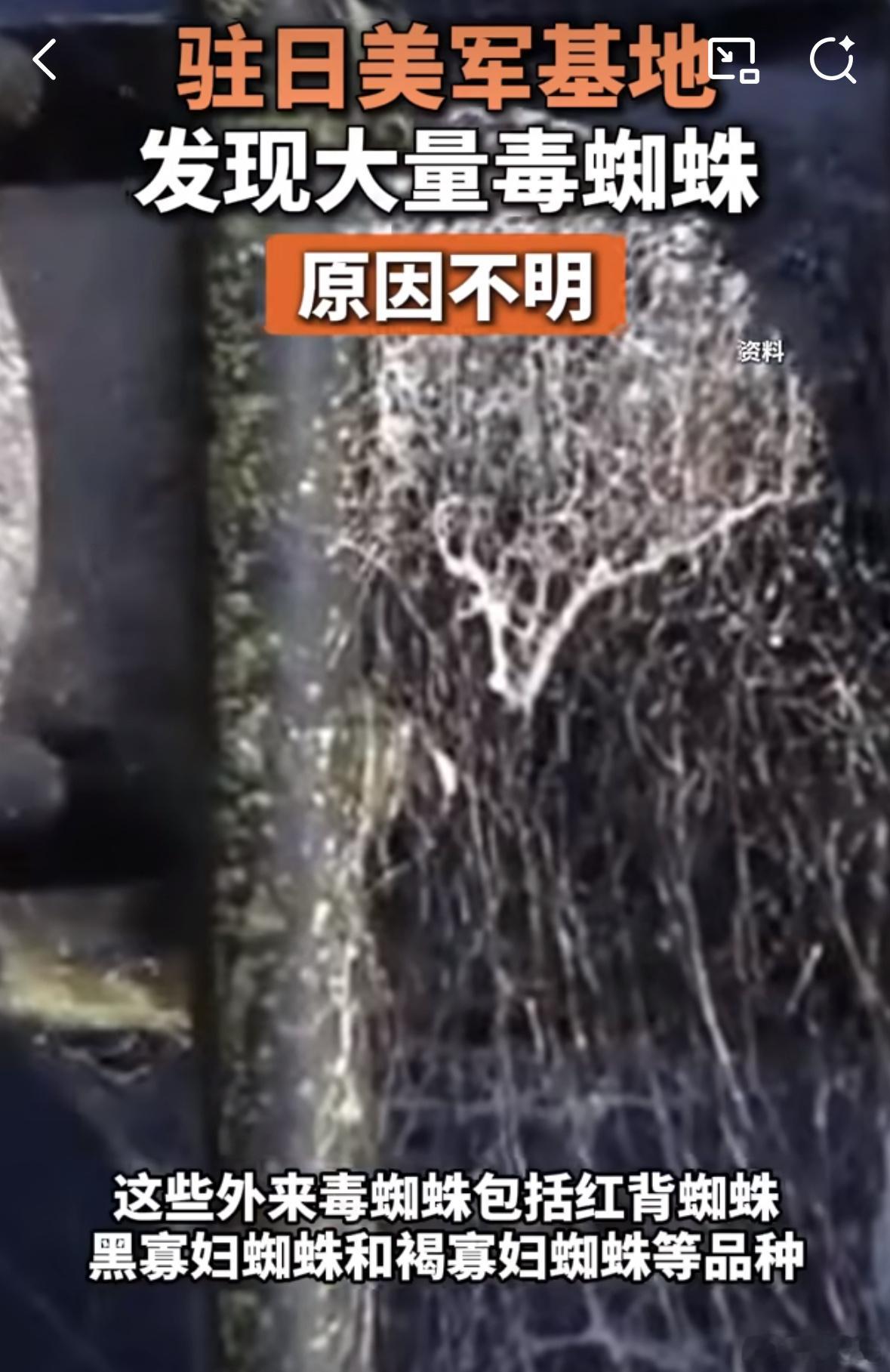 你们的好邻居“失败的man” 即将登场 