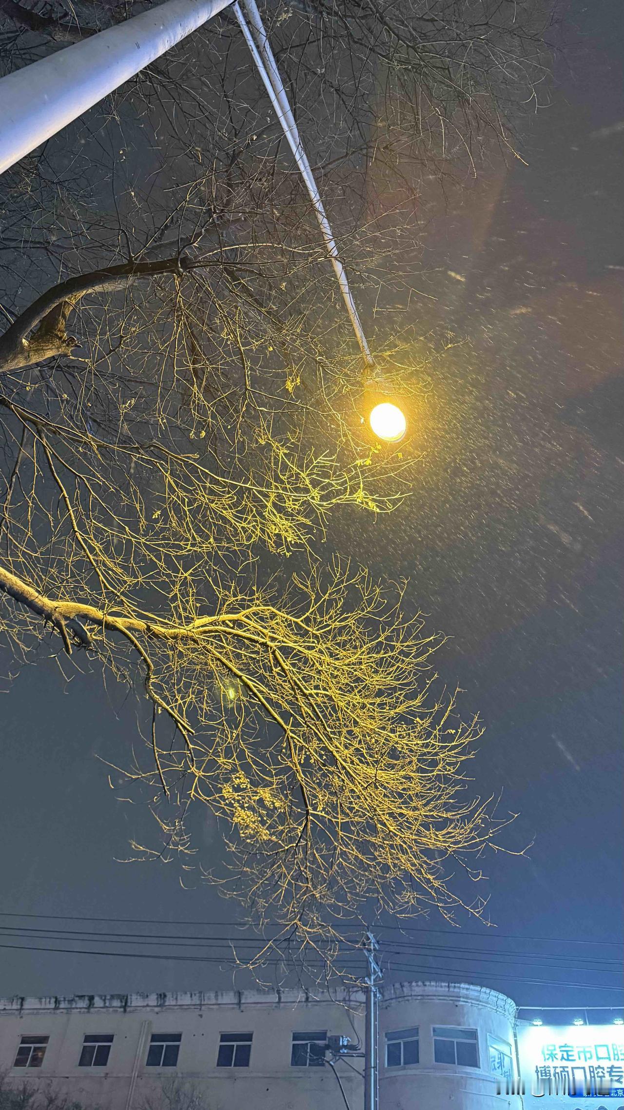 不得不说这次天气预报是没骗人，保定这场雪到夜里还下呢。

虽然说雪花不是很大，但