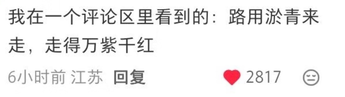 路用淤青来走 走得万紫千红​​​