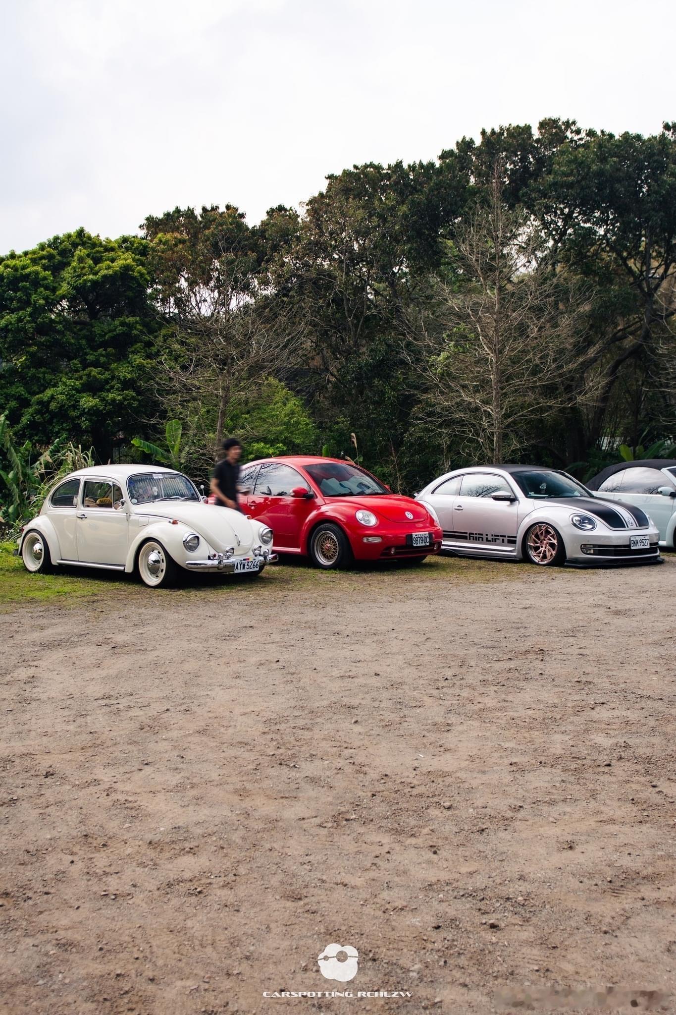 #台湾老车# 分享2024 03/17 Beetle Family Taiwan