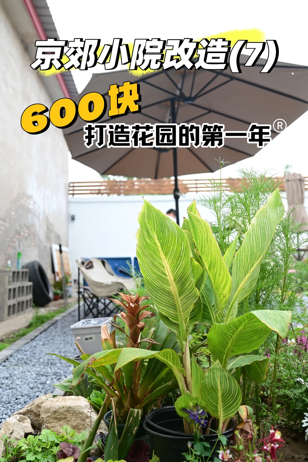 我妈说我是有点种植天赋在身上的！