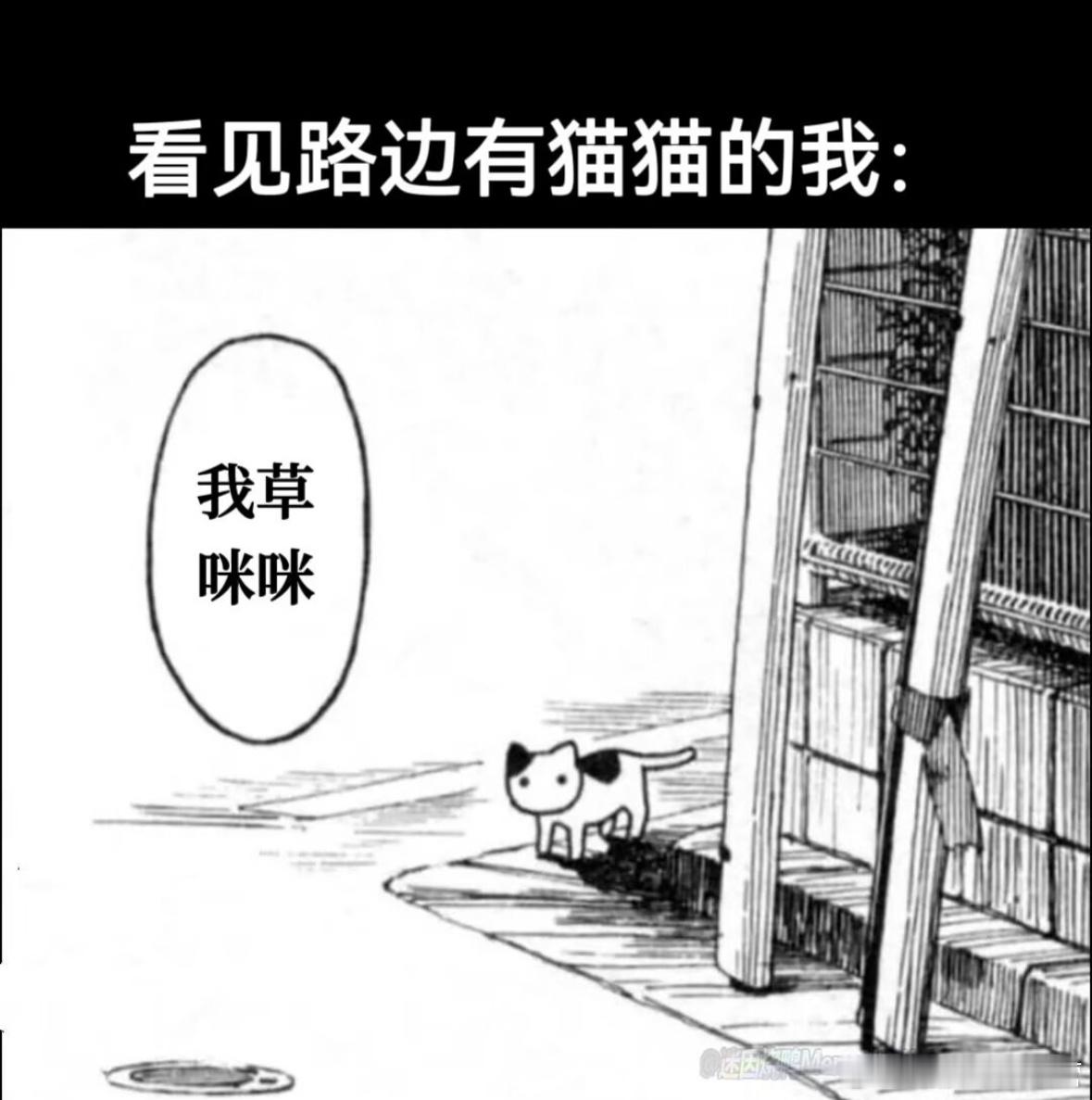 [喵喵] ​​​