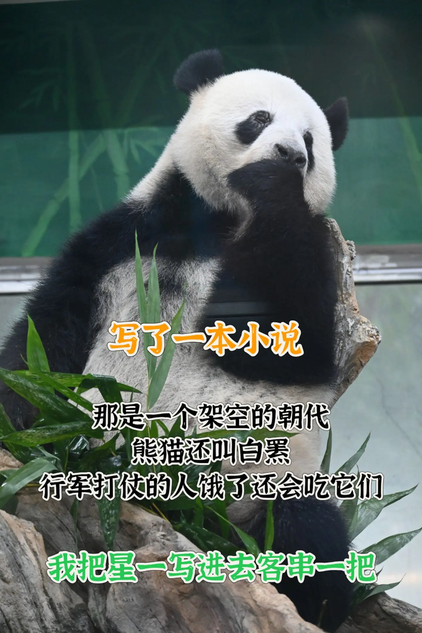 OH,把星一写到小说里了。