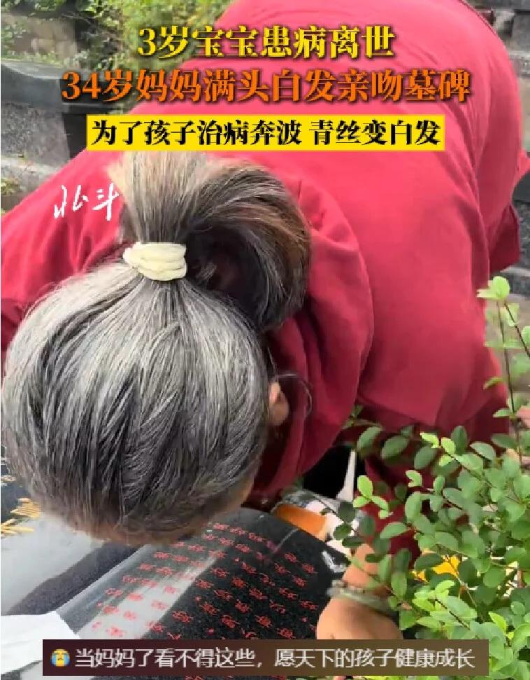 3岁宝宝患病离世 34岁妈妈满头白发亲吻墓碑
近日，河南。3岁宝宝患病离世，34