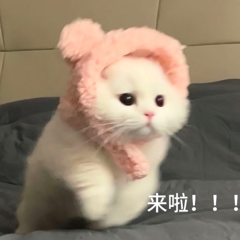 这两件事尽快搞定🤝1⃣️签到发帖超like所有人先去王一博 签到，每个浩都要签