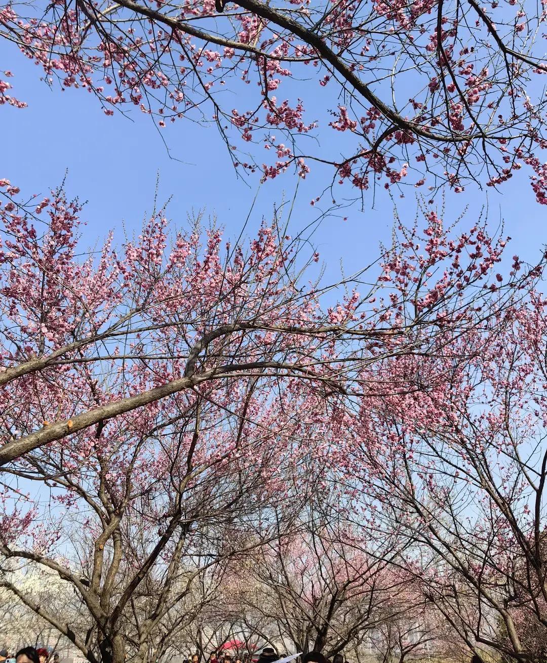 见过离了婚还往前夫家里砸钱的吗
几百万给儿子办婚礼，80桌酒席，娶985儿媳妇，