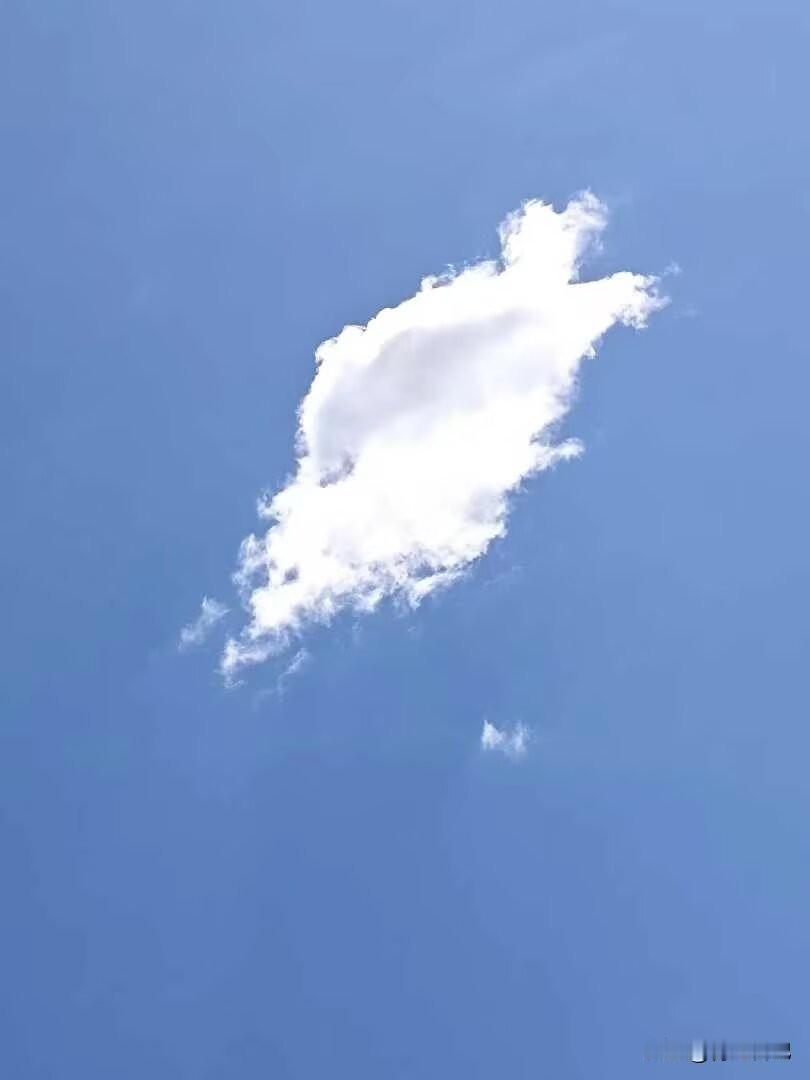 千万别划走！[招财进宝]
这条微头条可是老天爷亲自授权我发的——刚才我对着天空拍