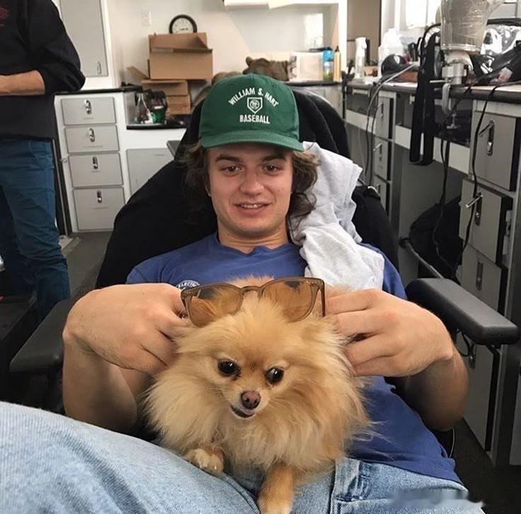 《怪奇物语》剧组最受宠的宝贝其实是 ⬇️。。。。。。男妈妈Joe Kerry的狗