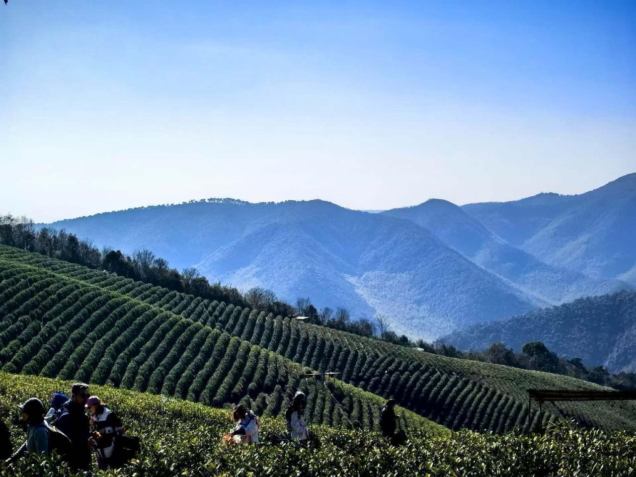 有个人反对随母姓，说：“有本事就一直生到儿子为止，我才不要外孙跟我姓。”

看看