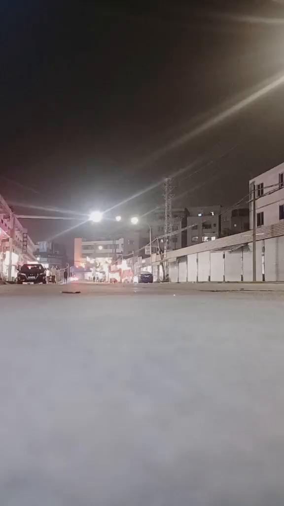 这我的小猫，快看。