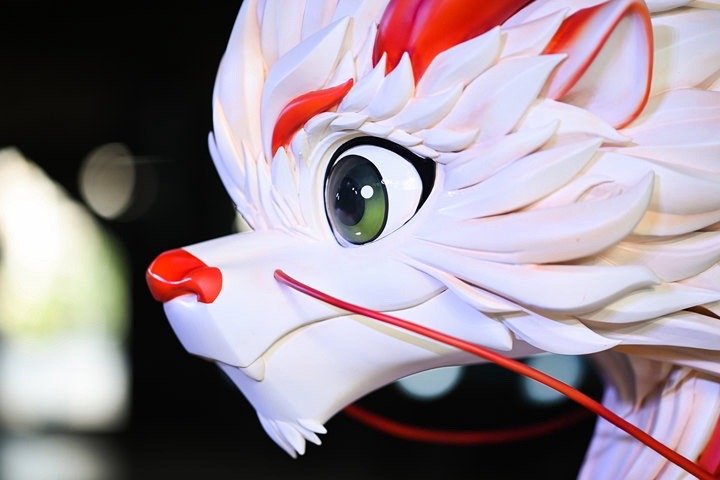 点赞！#张艺谋龙年龙服助力奥运#发布会上，中国国家队巴黎奥运会领奖服惊艳亮相。科
